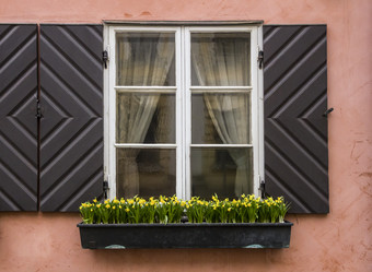 Similar image 21326997