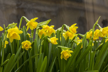 Similar image 21326998