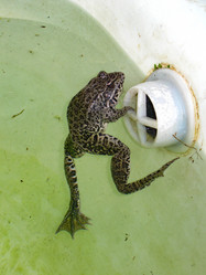 Similar image 21320429