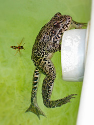 Similar image 21320430