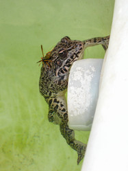 Similar image 21320431