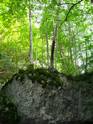 Similar image 21320432