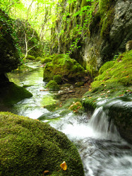 Similar image 21320433