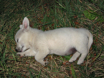 Similar image 21320438