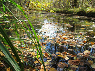 Similar image 21320441