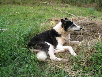 Similar image 21320443