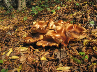 Similar image 21320448