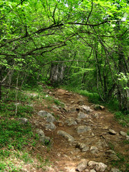 Similar image 21320449