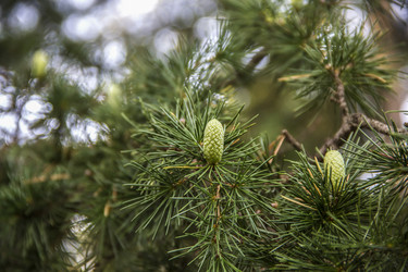 Similar image 21327174