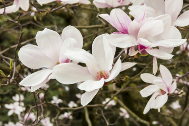 Similar image 21327176