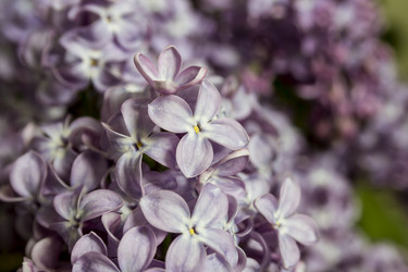 Similar image 21327178