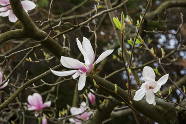 Similar image 21327015