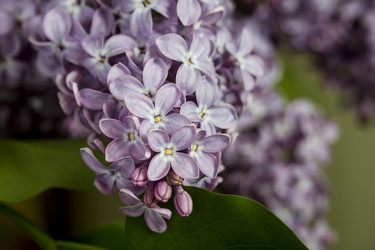 Similar image 21327189