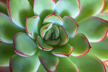 Similar image 21327017