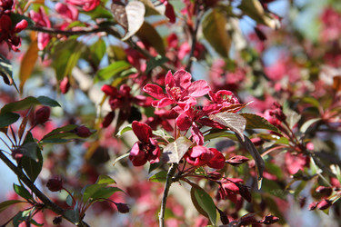 Similar image 21327190