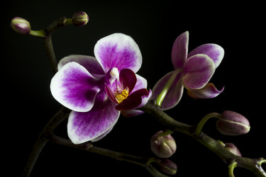 Similar image 21327191