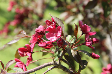 Similar image 21327192