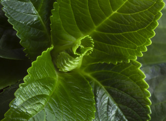 Similar image 21327019