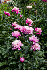 Similar image 21327196