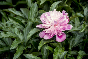 Similar image 21327197