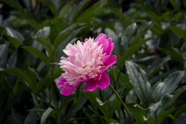 Similar image 21327230