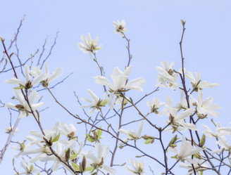 Similar image 21327231