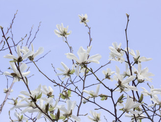 Similar image 21327233