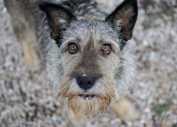 Similar image 21320455