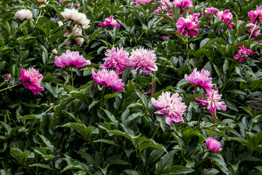 Similar image 21327236