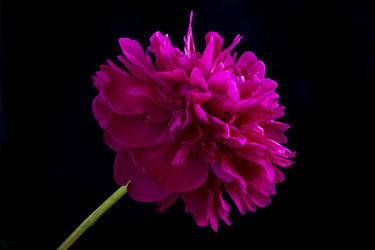 Similar image 21327242