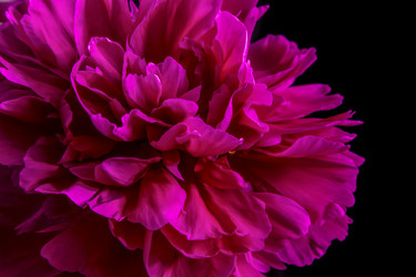 Similar image 21327244