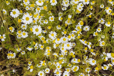 Similar image 21327248