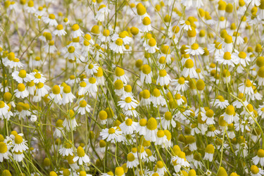 Similar image 21327250