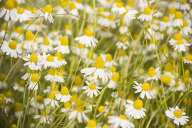 Similar image 21327253