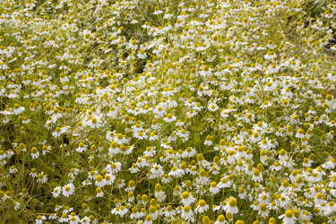 Similar image 21327254