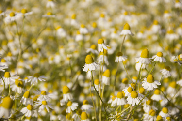 Similar image 21327255