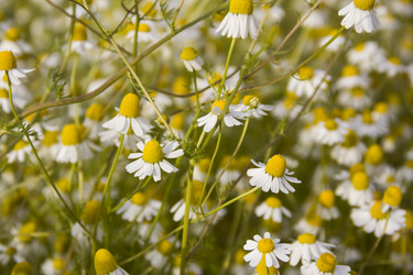 Similar image 21327256