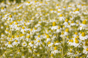 Similar image 21327257