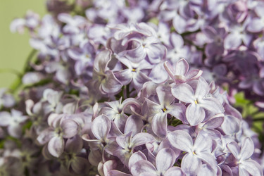 Similar image 21327258