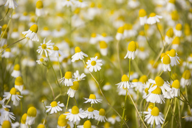 Similar image 21327260