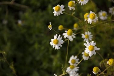 Similar image 21327263