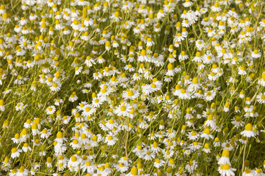 Similar image 21327265