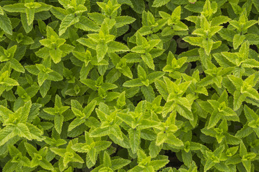 Similar image 21327270