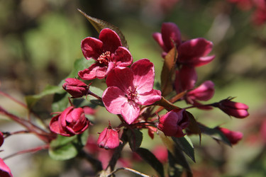 Similar image 21327272