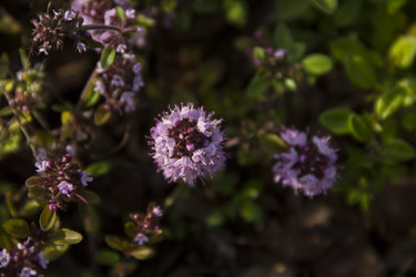 Similar image 21327276