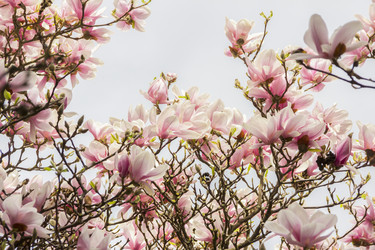 Similar image 21327278