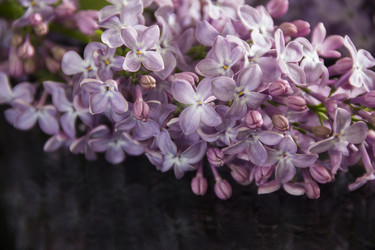 Similar image 21327279