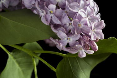 Similar image 21327282