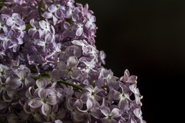 Similar image 21327283