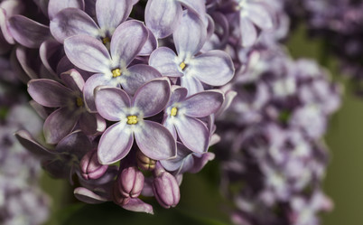 Similar image 21327286